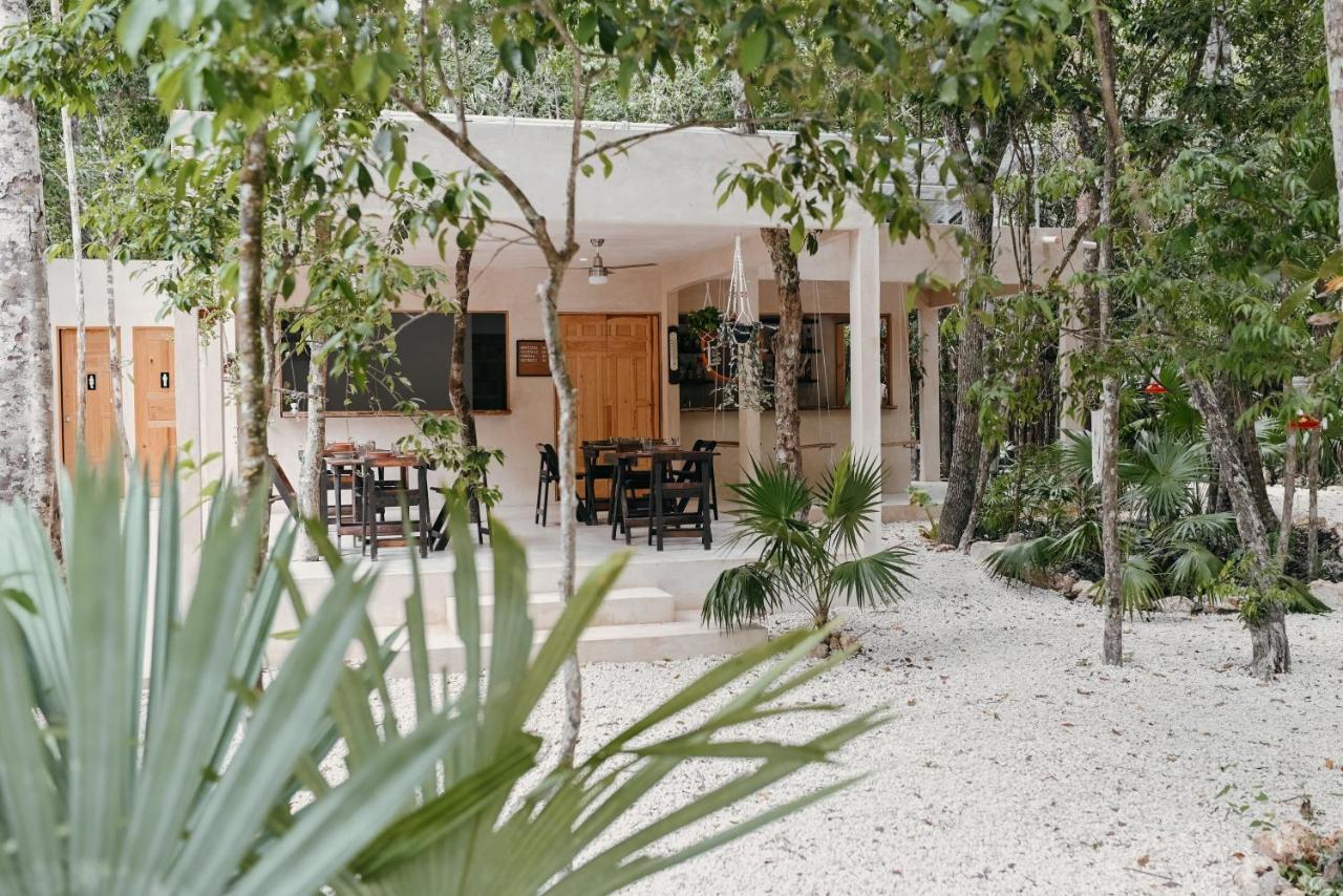 Lunita Jungle Experience Ξενοδοχείο Puerto Morelos Εξωτερικό φωτογραφία