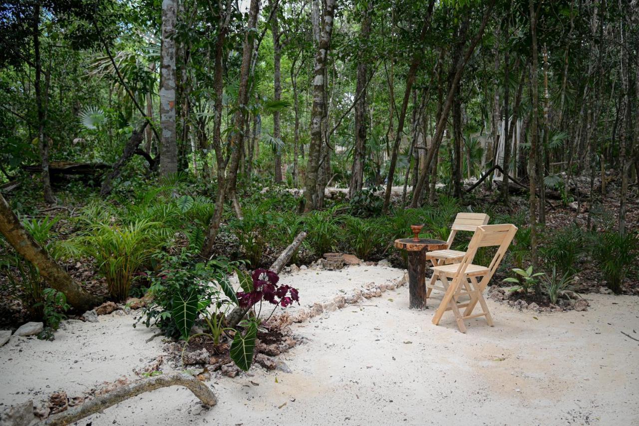 Lunita Jungle Experience Ξενοδοχείο Puerto Morelos Εξωτερικό φωτογραφία