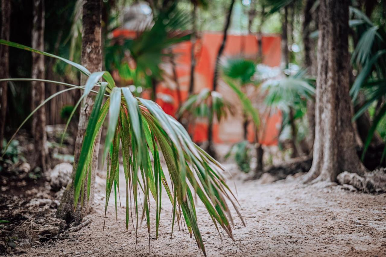 Lunita Jungle Experience Ξενοδοχείο Puerto Morelos Εξωτερικό φωτογραφία