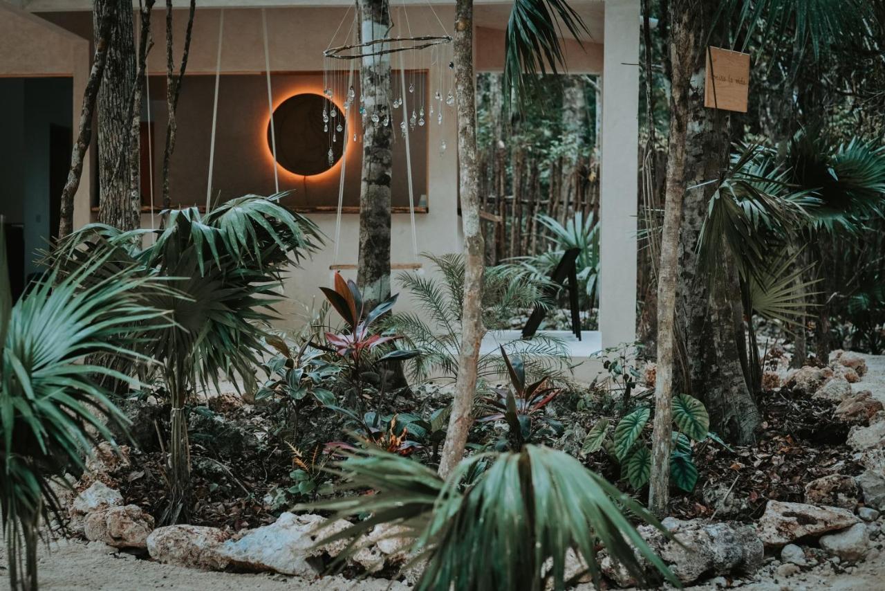 Lunita Jungle Experience Ξενοδοχείο Puerto Morelos Εξωτερικό φωτογραφία