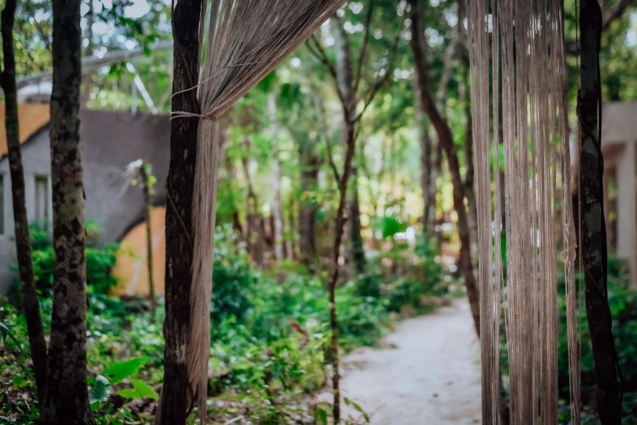 Lunita Jungle Experience Ξενοδοχείο Puerto Morelos Εξωτερικό φωτογραφία