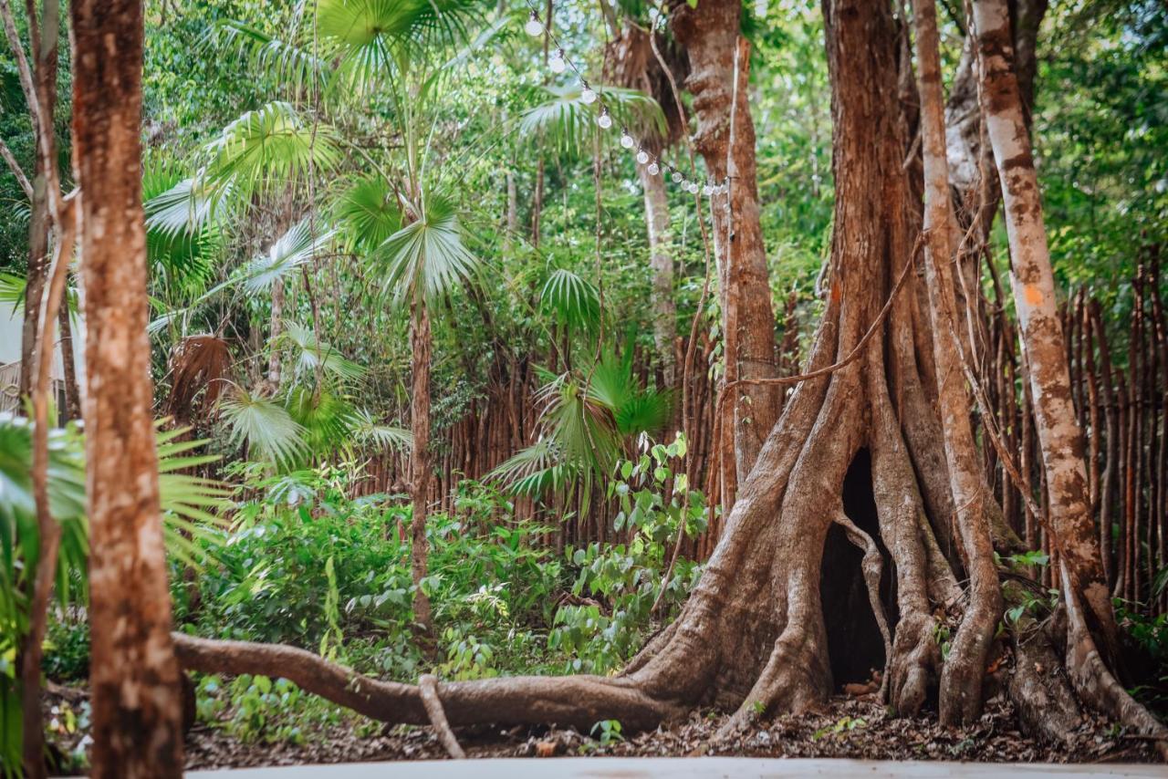 Lunita Jungle Experience Ξενοδοχείο Puerto Morelos Εξωτερικό φωτογραφία