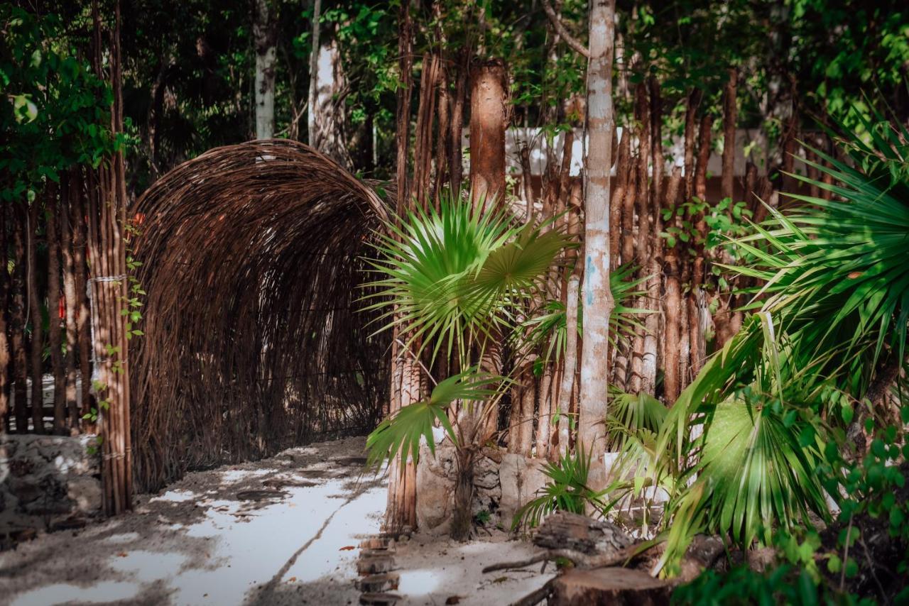 Lunita Jungle Experience Ξενοδοχείο Puerto Morelos Εξωτερικό φωτογραφία