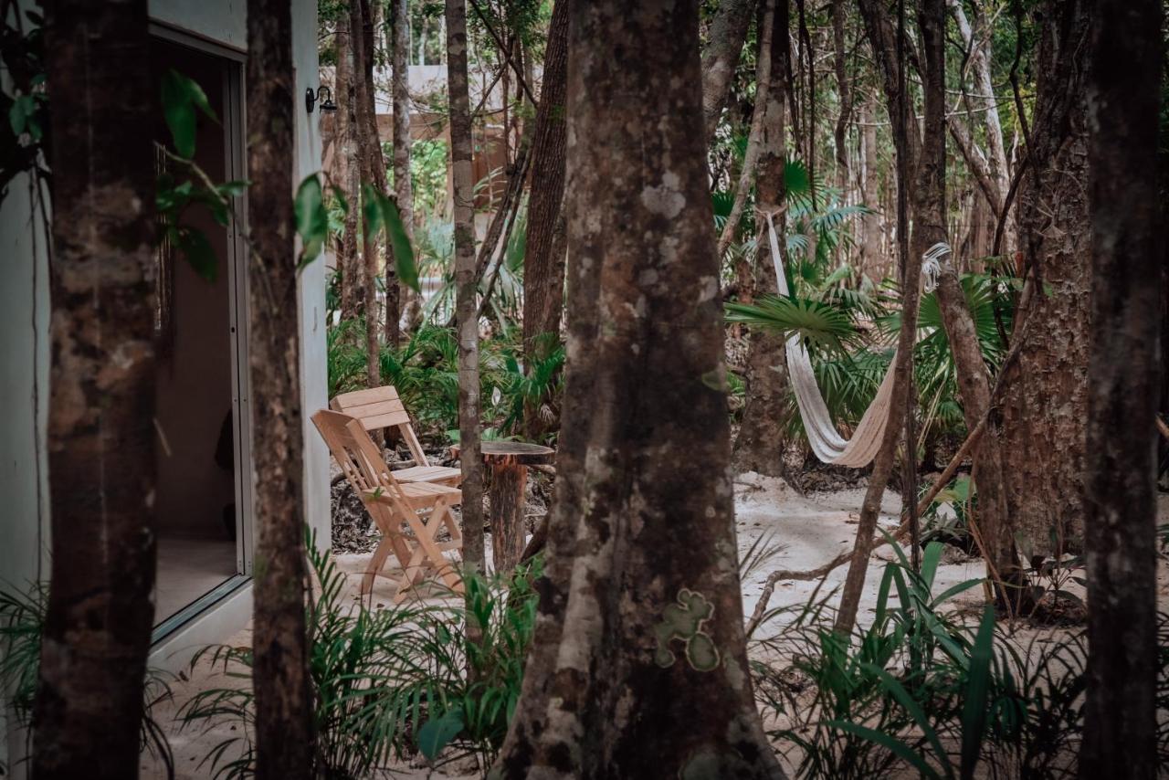 Lunita Jungle Experience Ξενοδοχείο Puerto Morelos Εξωτερικό φωτογραφία